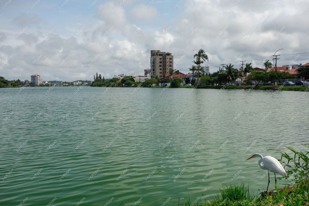 Torres, Rio Grande do Sul, vista da lagoa com garça branca e edifícios ao fundo em dia nublado