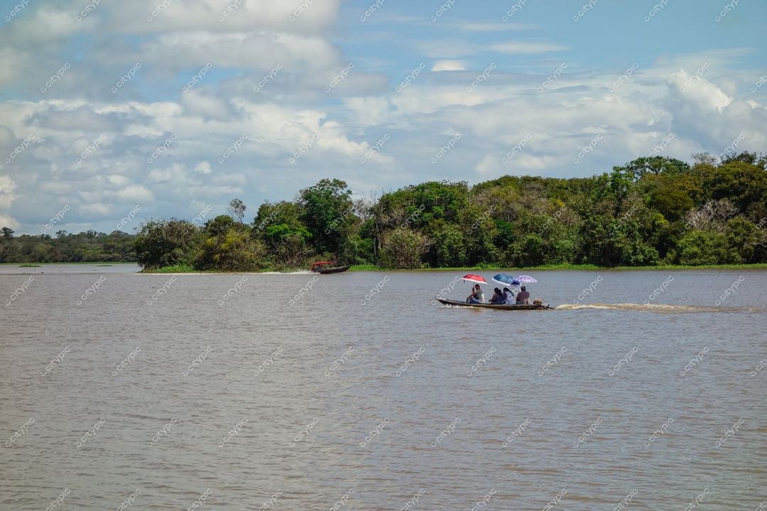 Manaus, Amazonas, canoa com três pessoas sob guarda-sóis coloridos em ambiente natural sereno e vegetação densa