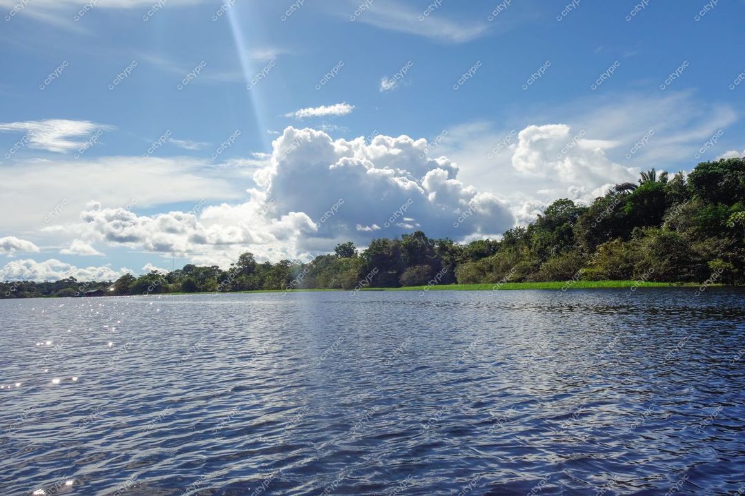 Manaus, Amazonas, vista do rio com águas calmas refletindo céu azul e vegetação densa à margem