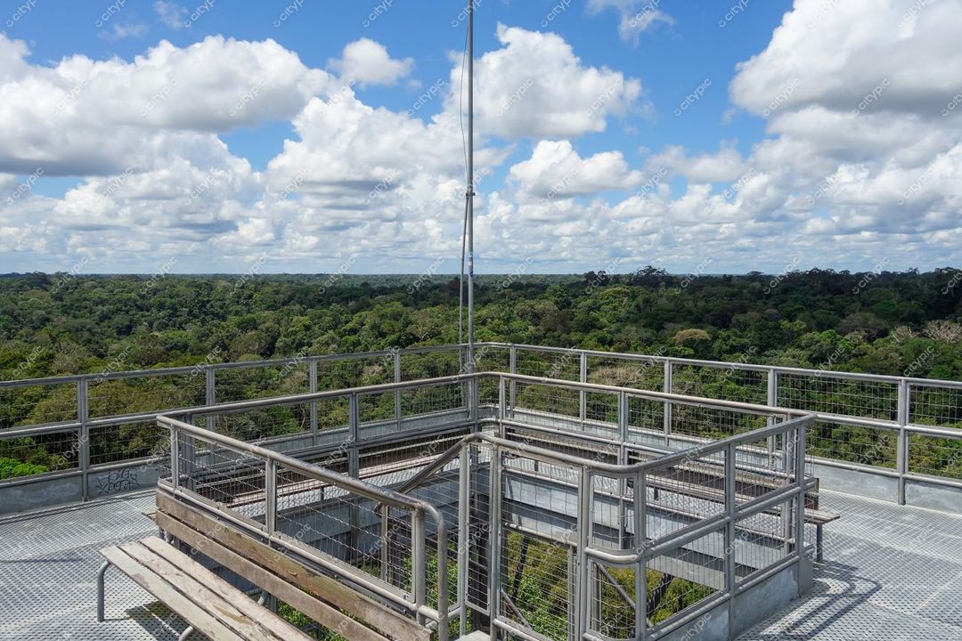 Manaus, Amazonas vista panorâmica do topo de torre com gradis e bancos em meio à floresta densa e céu nublado