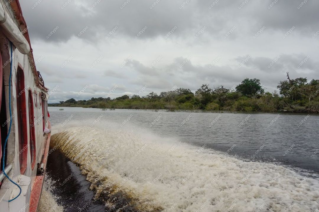 Manaus, Amazonas vista panorâmica do rio com embarcação à esquerda e vegetação densa à direita em dia nublado