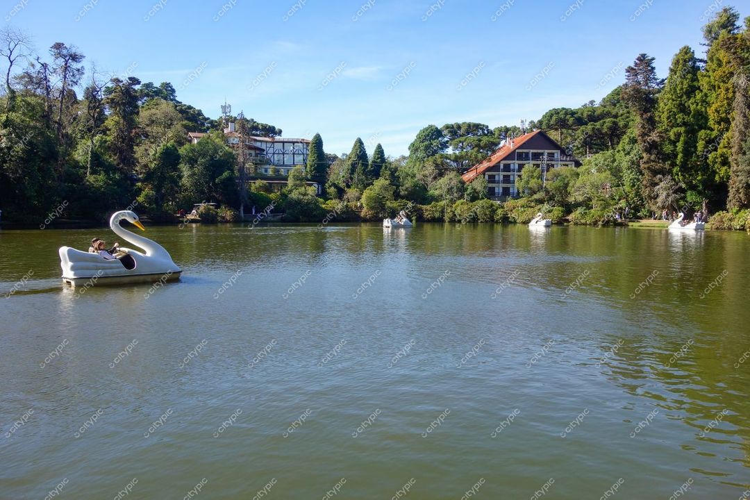 Gramado, Rio Grande do Sul, pedalinho cisne no lago com construções europeias e vegetação abundante ao fundo