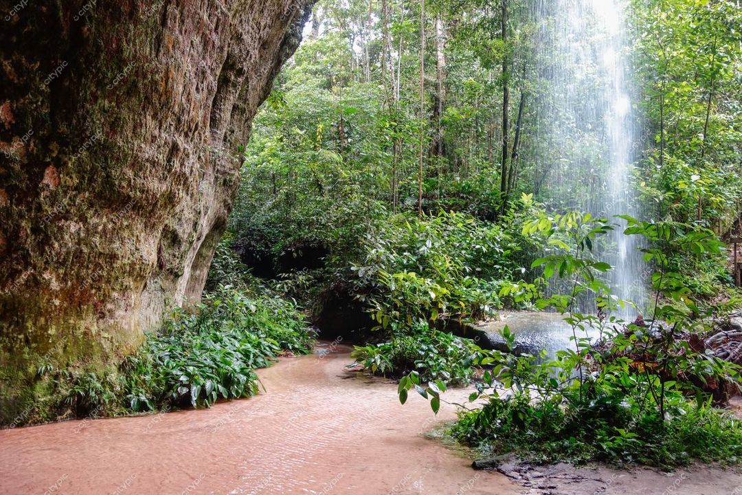 Presidente Figueiredo, Amazonas, cascata em meio à vegetação tropical com luz suave filtrada pelas árvores