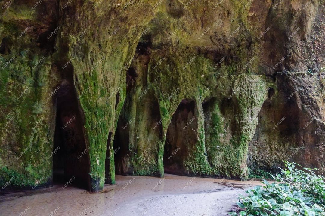 Presidente Figueiredo, Amazonas, caverna com formações rochosas verdes e iluminação suave em ambiente úmido e sombrio