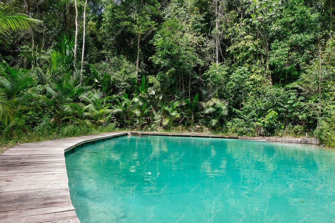 Presidente Figueiredo, Amazonas, piscina natural com água cristalina e passarela de madeira cercada por vegetação tropical