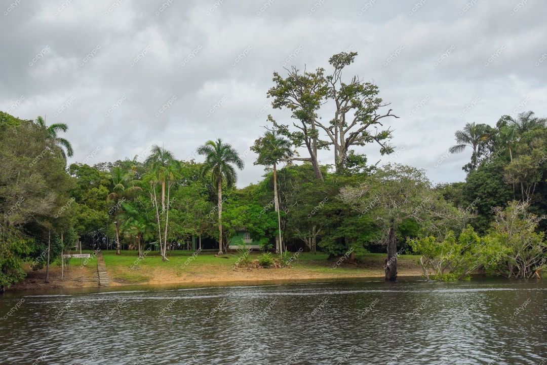 Manaus, Amazonas, vegetação densa à margem do rio com céu parcialmente nublado e solo claro próximo à água