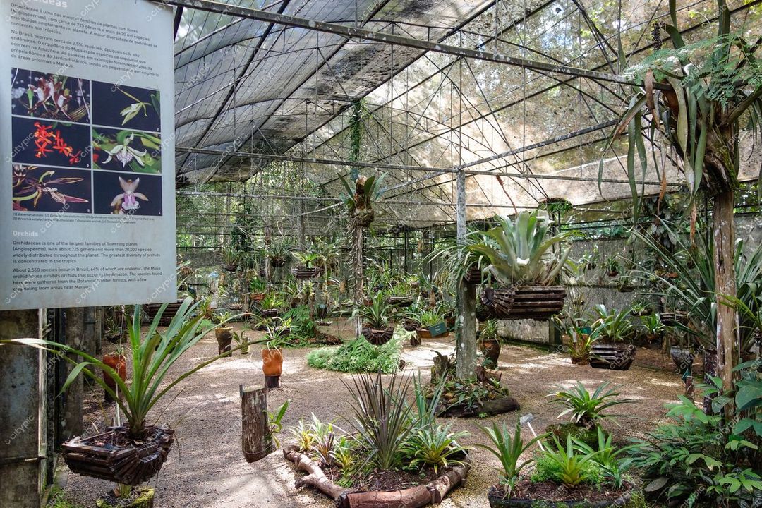 Manaus, Amazonas, viveiro com estrutura metálica e plantas suspensas em ambiente tropical e bem cuidado