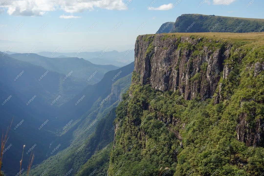 Cambará do Sul, Rio Grande do Sul, vista das falésias com relevo acentuado e vegetação exuberante em dia claro