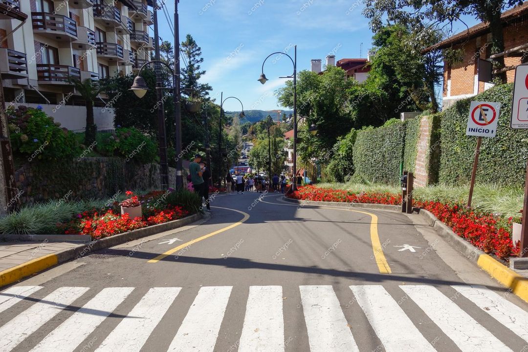 Gramado, Rio Grande do Sul, rua ensolarada com pessoas caminhando e flores vermelhas em canteiros laterais
