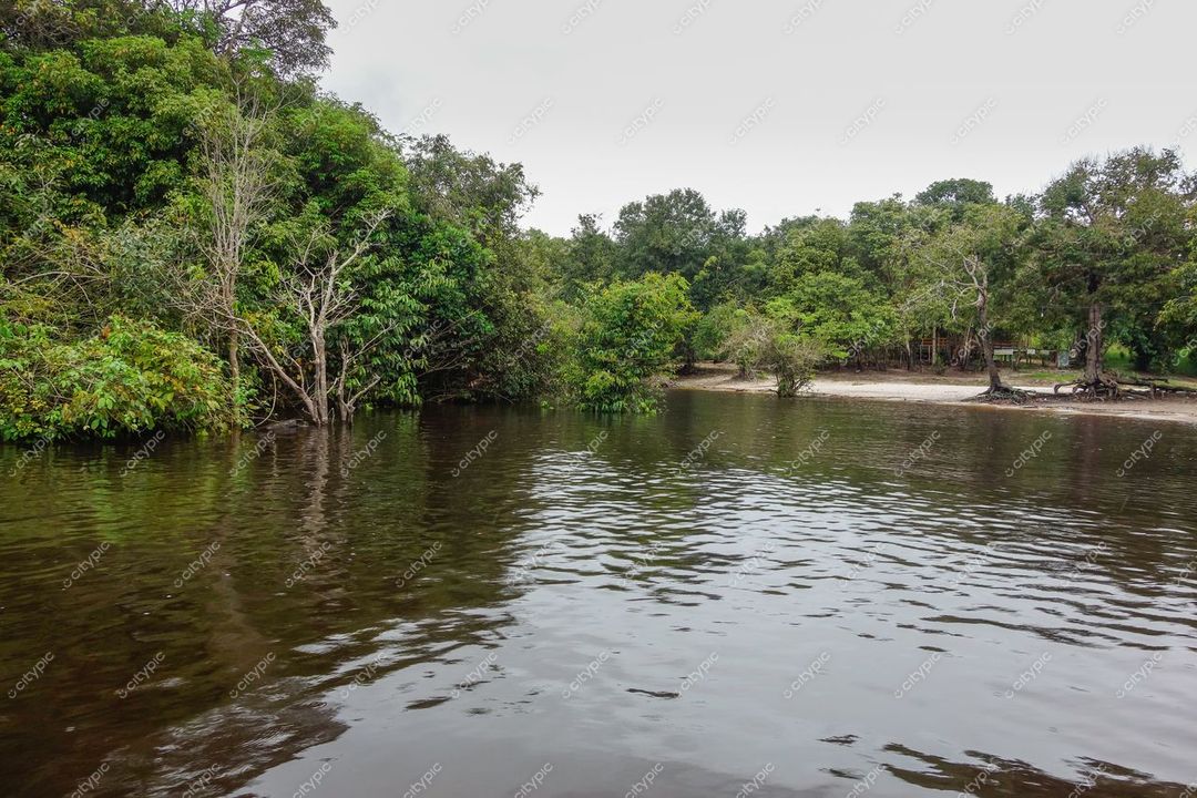 Manaus, Amazonas, vegetação densa ao redor de córrego com reflexos em água tranquila em dia nublado