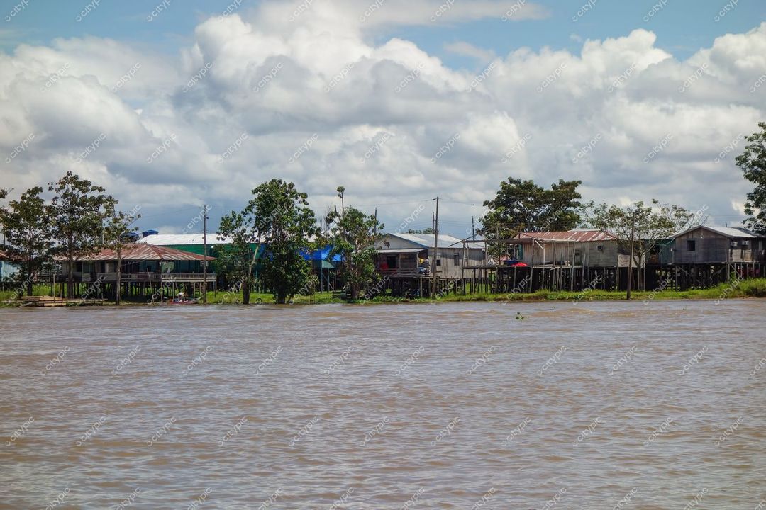 Manaus, Amazonas vista do rio com casas de madeira em palafitas sob céu nublado e vegetação densa