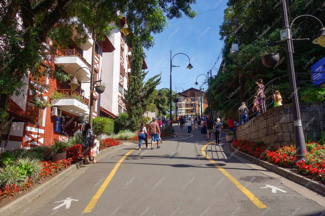 Gramado, Rio Grande do Sul, dia ensolarado com calçamento pavimentado e canteiros floridos ao longo da rua