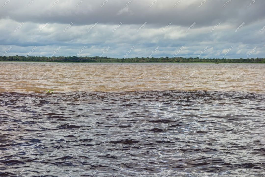 Manaus, Amazonas, captura da confluência das águas do Rio Amazonas com vegetação ao fundo e céu nublado