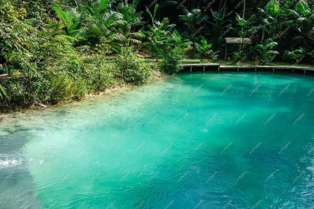 Presidente Figueiredo, Amazonas, lagoa de águas cristalinas cercada por densa vegetação tropical em dia ensolarado