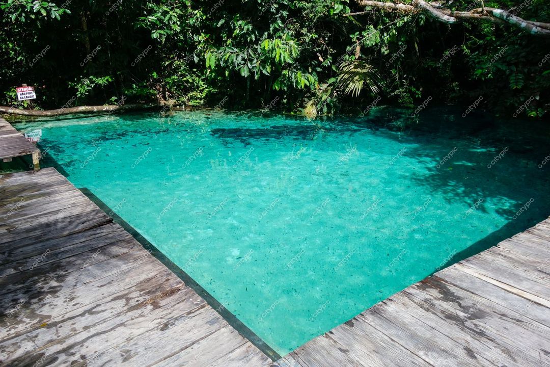 Presidente Figueiredo, Amazonas, piscina natural com água cristalina cercada por vegetação tropical e iluminação solar suave