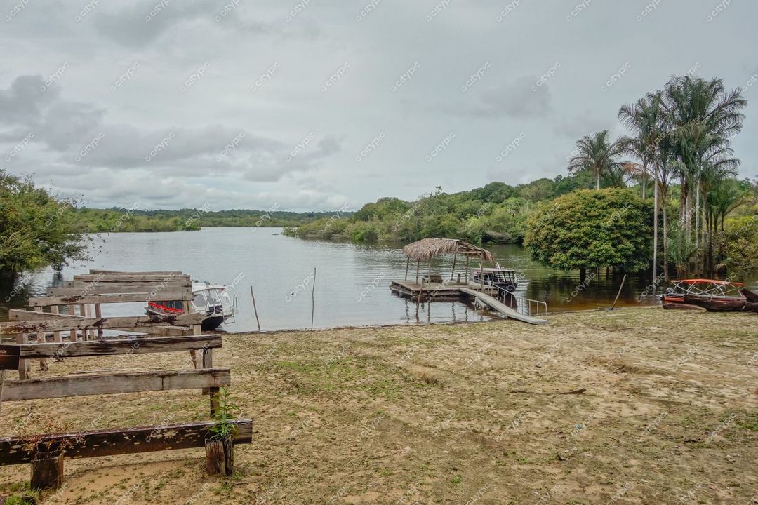 Manaus, Amazonas, paisagem tranquila à beira do rio com ancoradouros de madeira e vegetação densa sob céu nublado