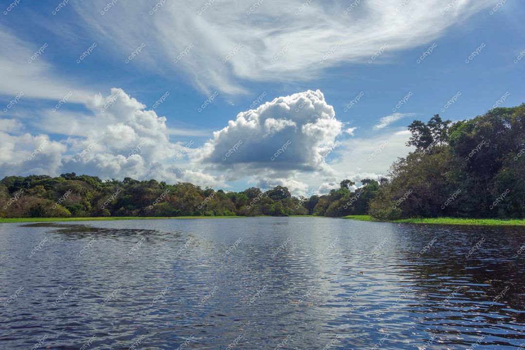 Manaus, Amazonas vista serena do rio com vegetação tropical exuberante sob céu parcialmente nublado e luz do sol