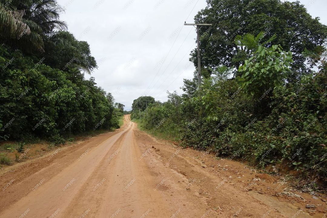 Manaus, Amazonas, estrada de terra em área rural com vegetação densa e céu nublado em clima úmido
