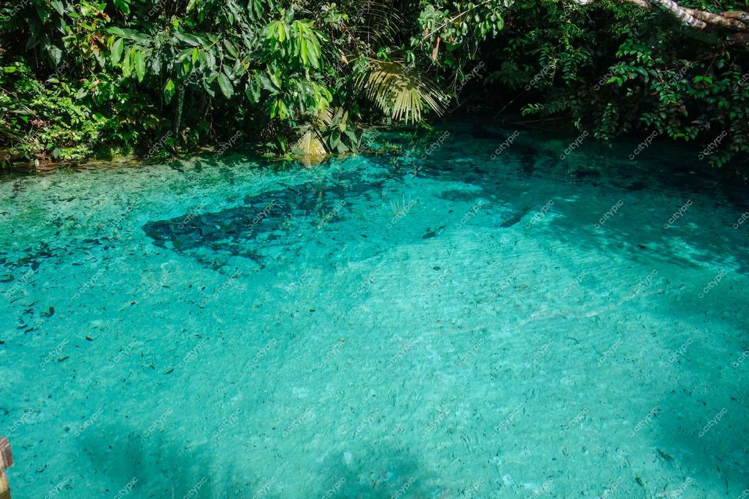 Presidente Figueiredo, Amazonas, lago cristalino cercado por vegetação tropical em dia ensolarado com reflexos na água