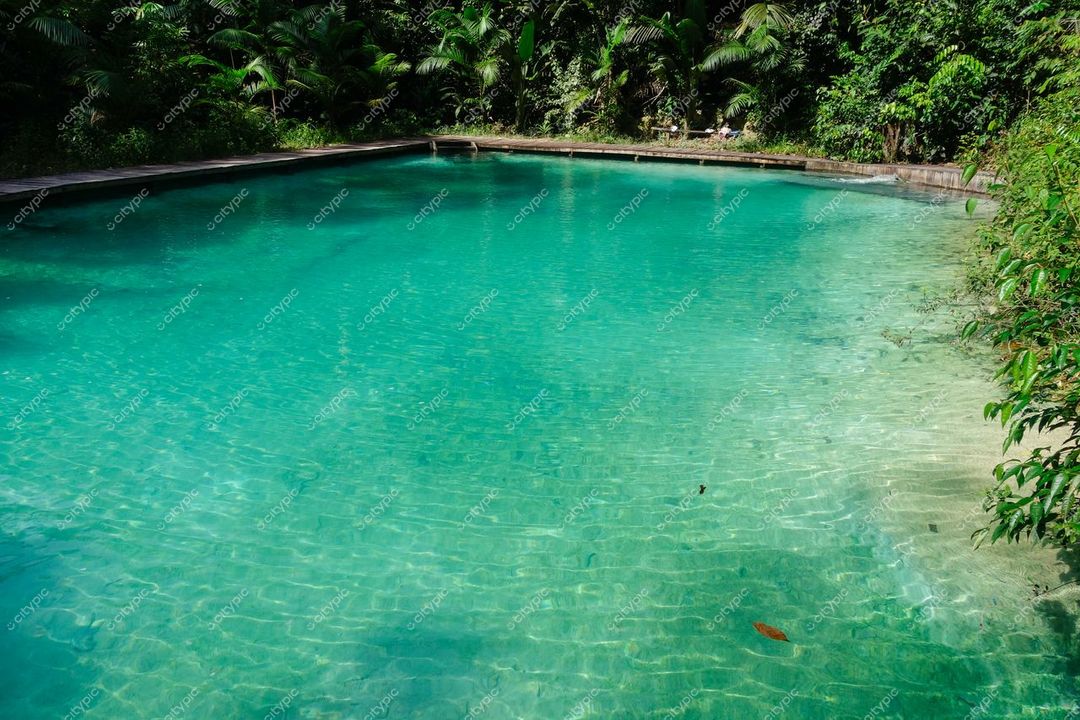 Presidente Figueiredo, Amazonas, piscina de águas cristalinas cercada por densa vegetação tropical em dia ensolarado