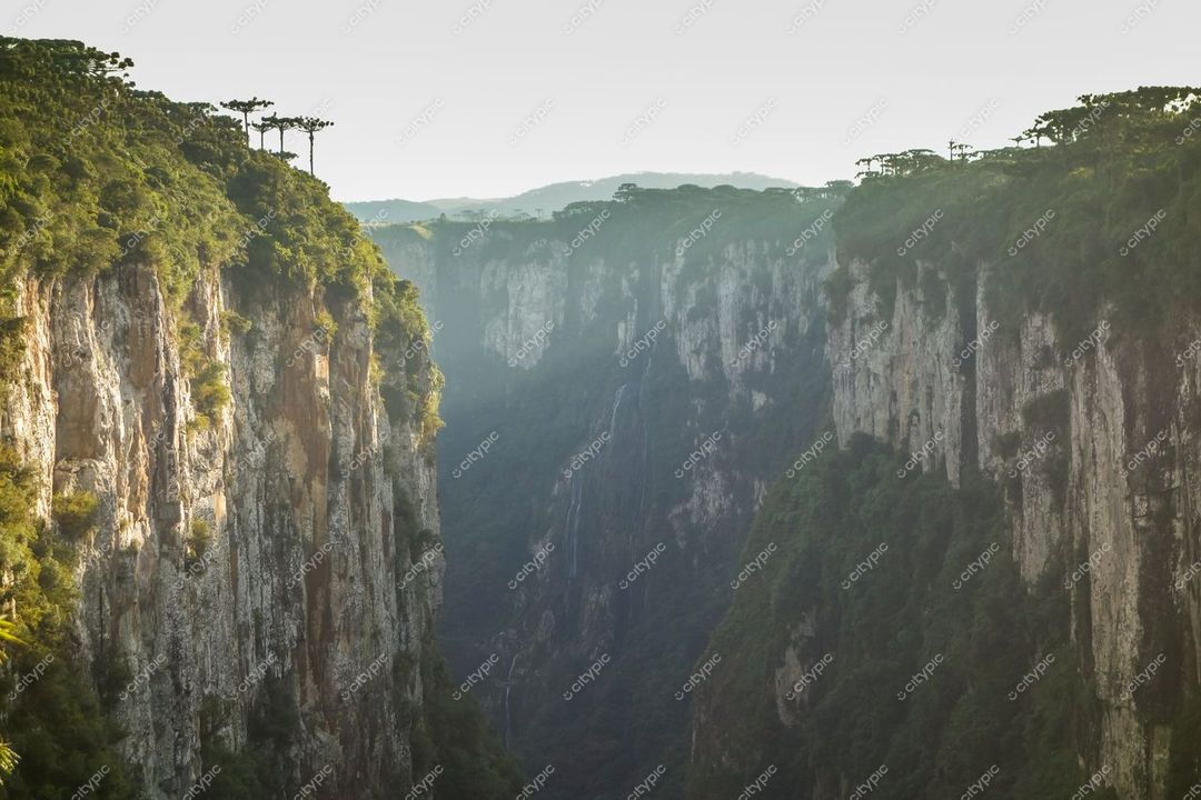 Cambará do Sul, Rio Grande do Sul, cânion com paredes verticais iluminadas pelo sol e vegetação exuberante no topo