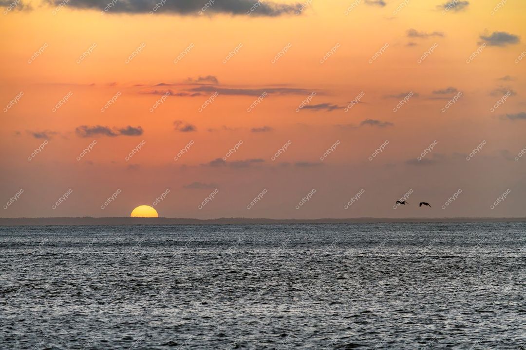 São Luís, Maranhão ao pôr do sol com águas tranquilas e aves em voo sobre o horizonte iluminado
