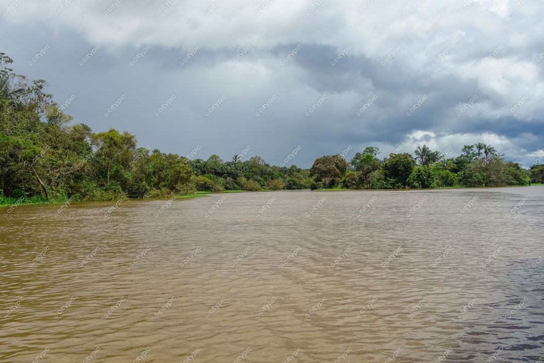 Manaus, Amazonas, reflexo de vegetação exuberante em rio com céu nublado e iluminação suave em dia tranquilo