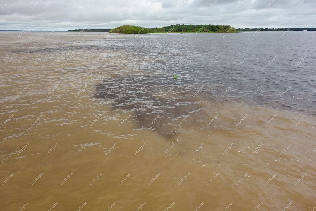 Manaus, Amazonas, encontro das águas do Rio Amazonas com coloração distinta sob céu nublado e vegetação nativa