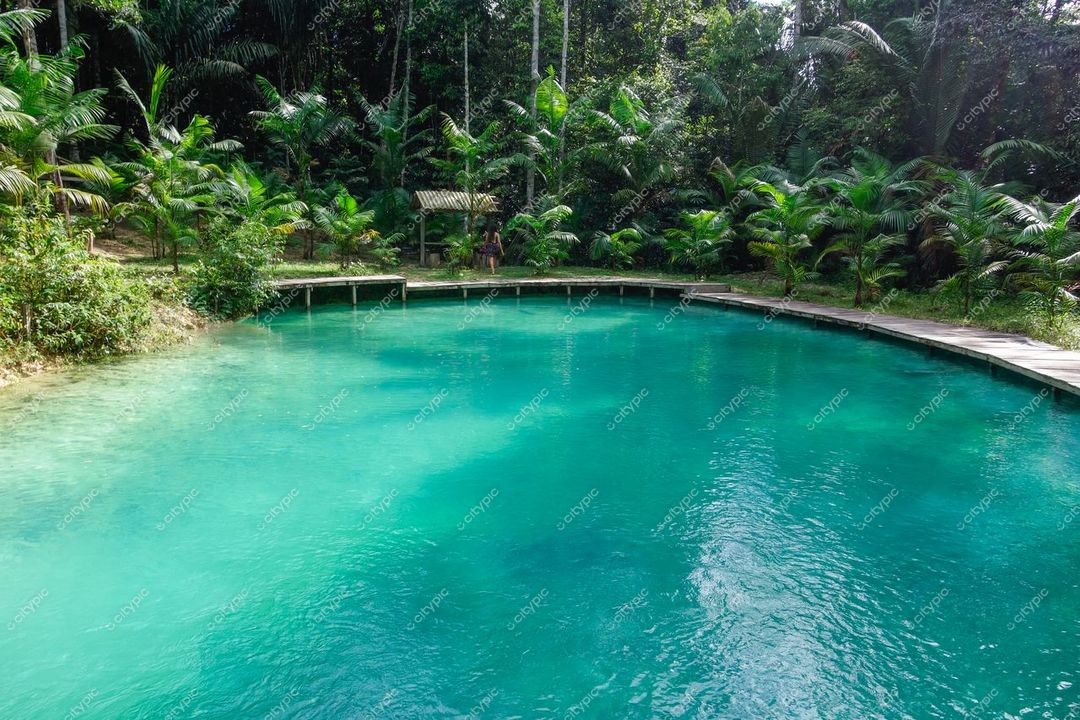Presidente Figueiredo, Amazonas, lagoa de águas cristalinas cercada por vegetação tropical e trilha de madeira iluminada pelo dia