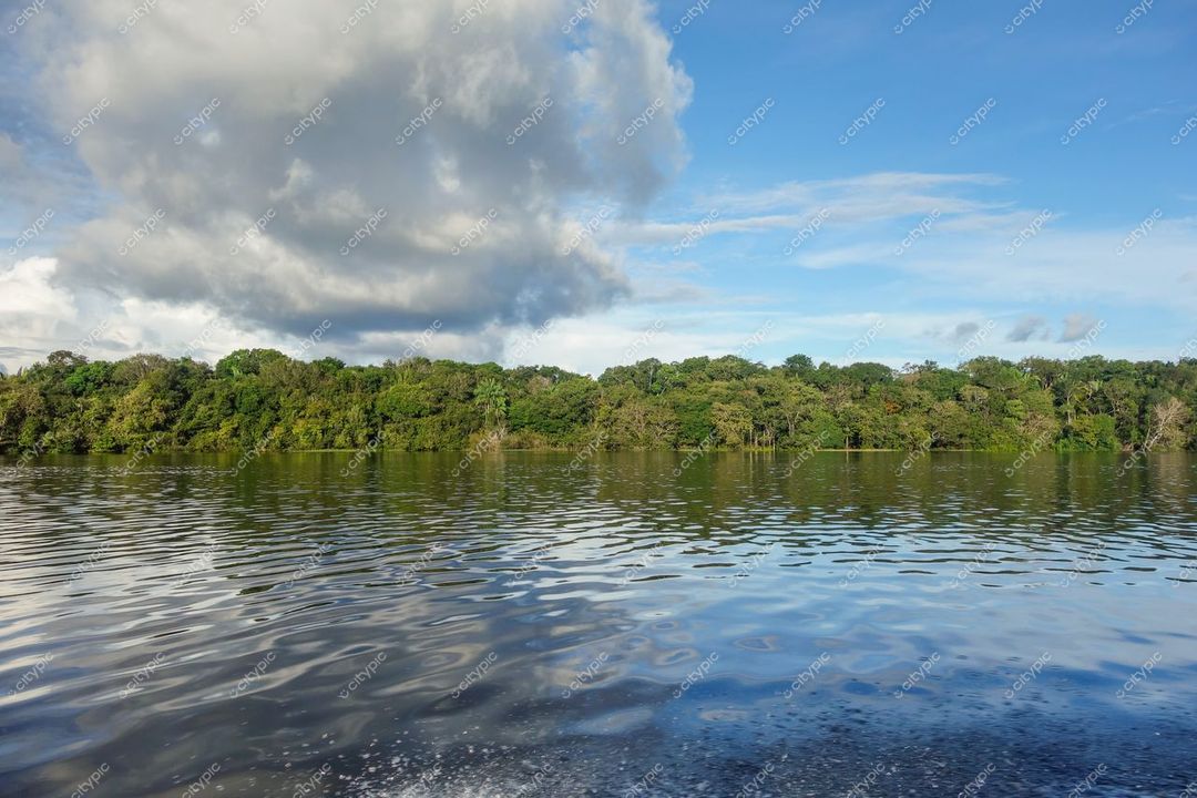 Manaus, Amazonas, reflexo da vegetação densa em água serena com nuvens volumosas e luz do dia clara