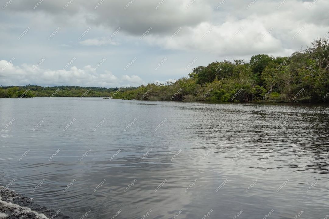 Manaus, Amazonas em entardecer tranquilo com rio reflexivo e densa vegetação tropical sob céu nublado