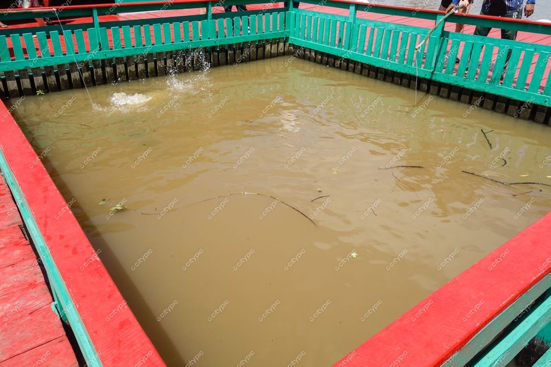 Manaus, Amazonas, cercado de madeira verde e vermelho com água marrom e pessoas se aproximando durante o dia