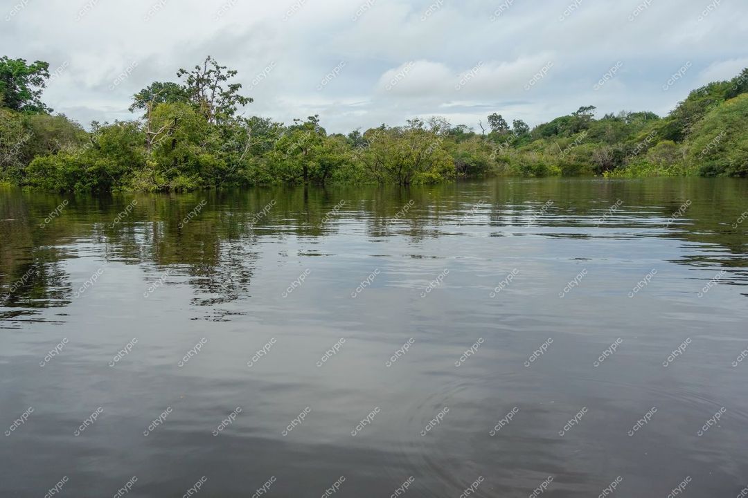 Manaus, Amazonas, vista serena de lago com reflexos de vegetação densa sob céu parcialmente nublado ao amanhecer