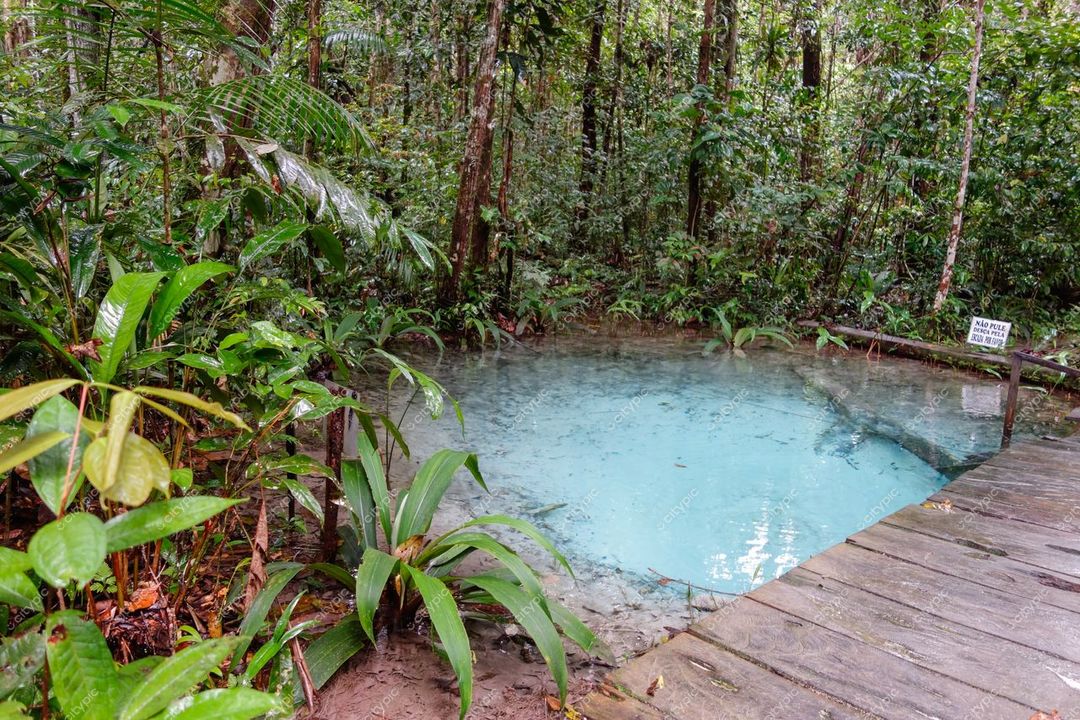 Presidente Figueiredo, Amazonas, piscina natural azulada cercada por vegetação densa em dia nublado com passarela de madeira