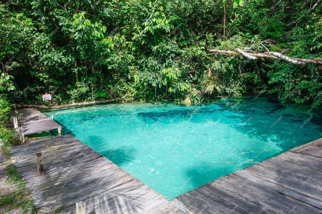 Presidente Figueiredo, Amazonas, piscina natural com água cristalina e deck de madeira em dia ensolarado rodeada por vegetação tropical