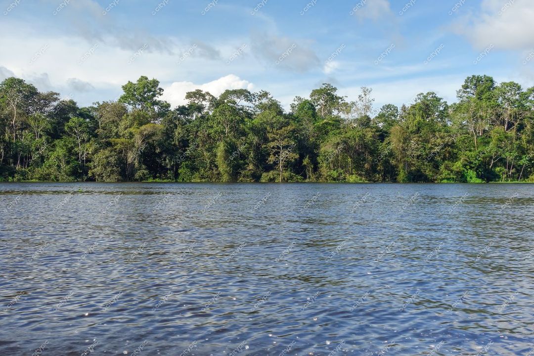 Manaus, Amazonas vista tranquila do Rio Amazonas com vegetação densa e luz suave em dia nublado