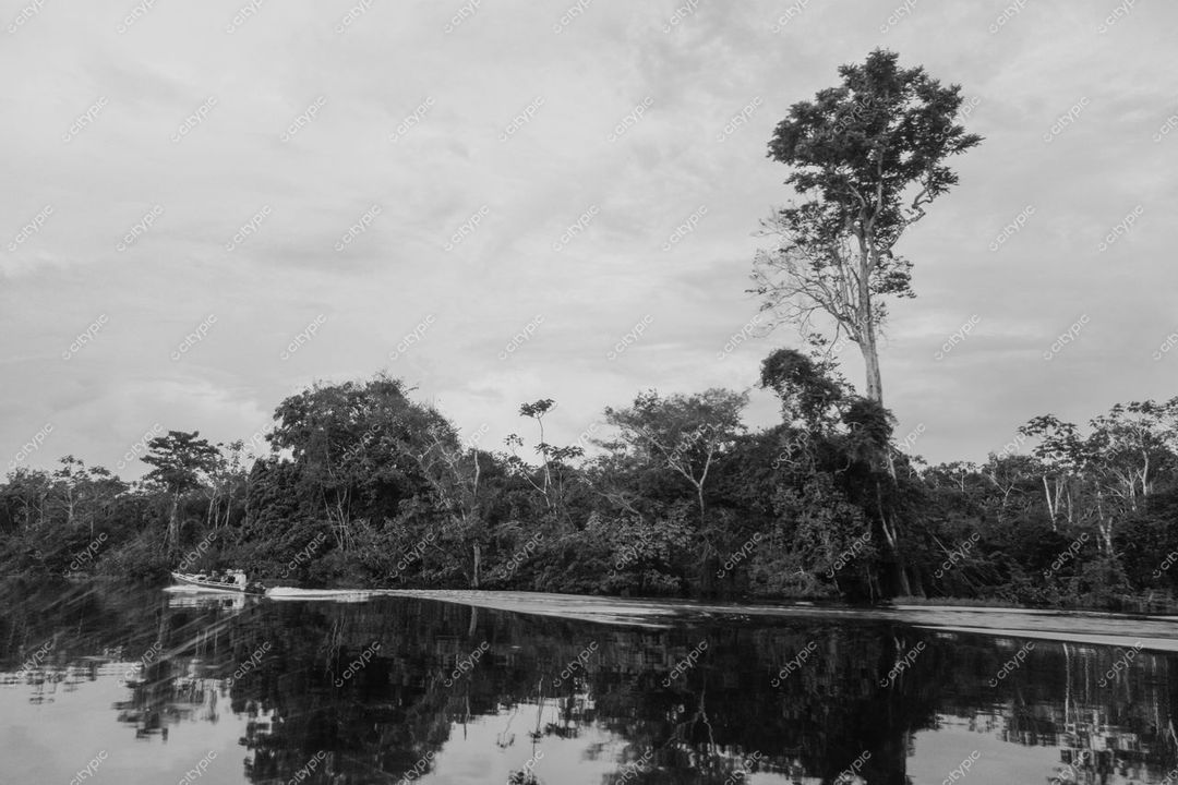 Manaus, Amazonas, paisagem em preto e branco com vegetação densa e reflexos na água calma do rio