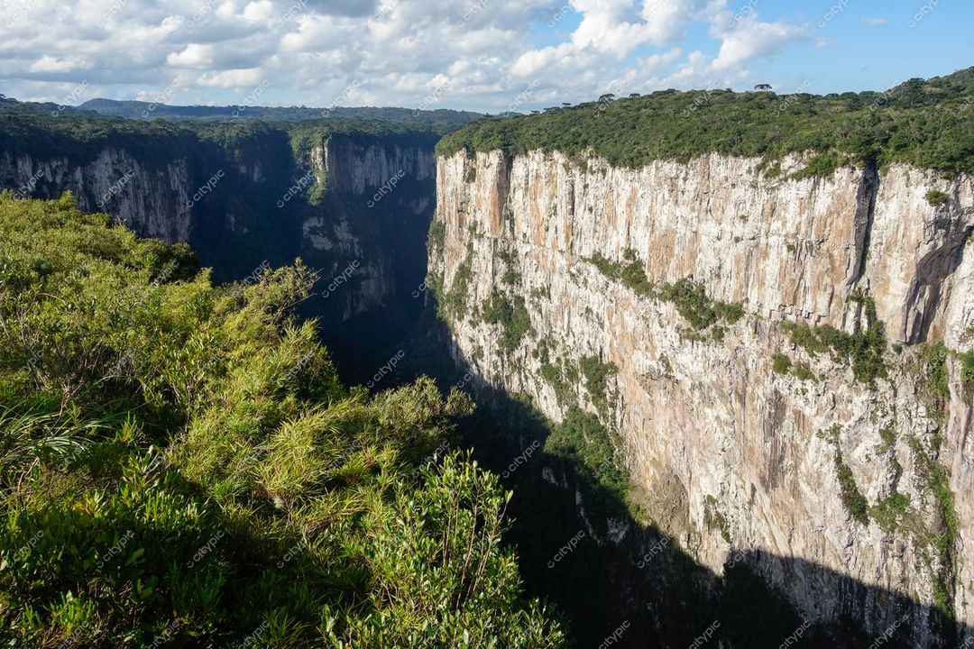 Cambará do Sul, Rio Grande do Sul, penhasco vertical com vegetação densa e céu azul em dia claro