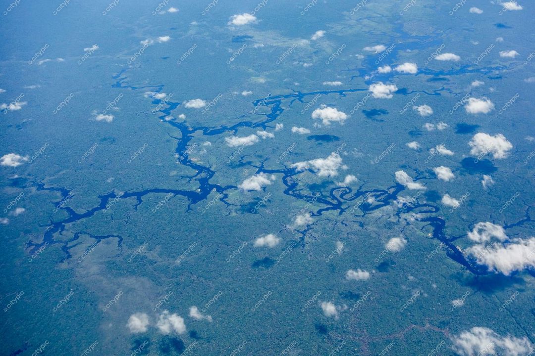 Manaus, Amazonas com vista aérea da floresta tropical e rios sinuosos sob luz natural do dia