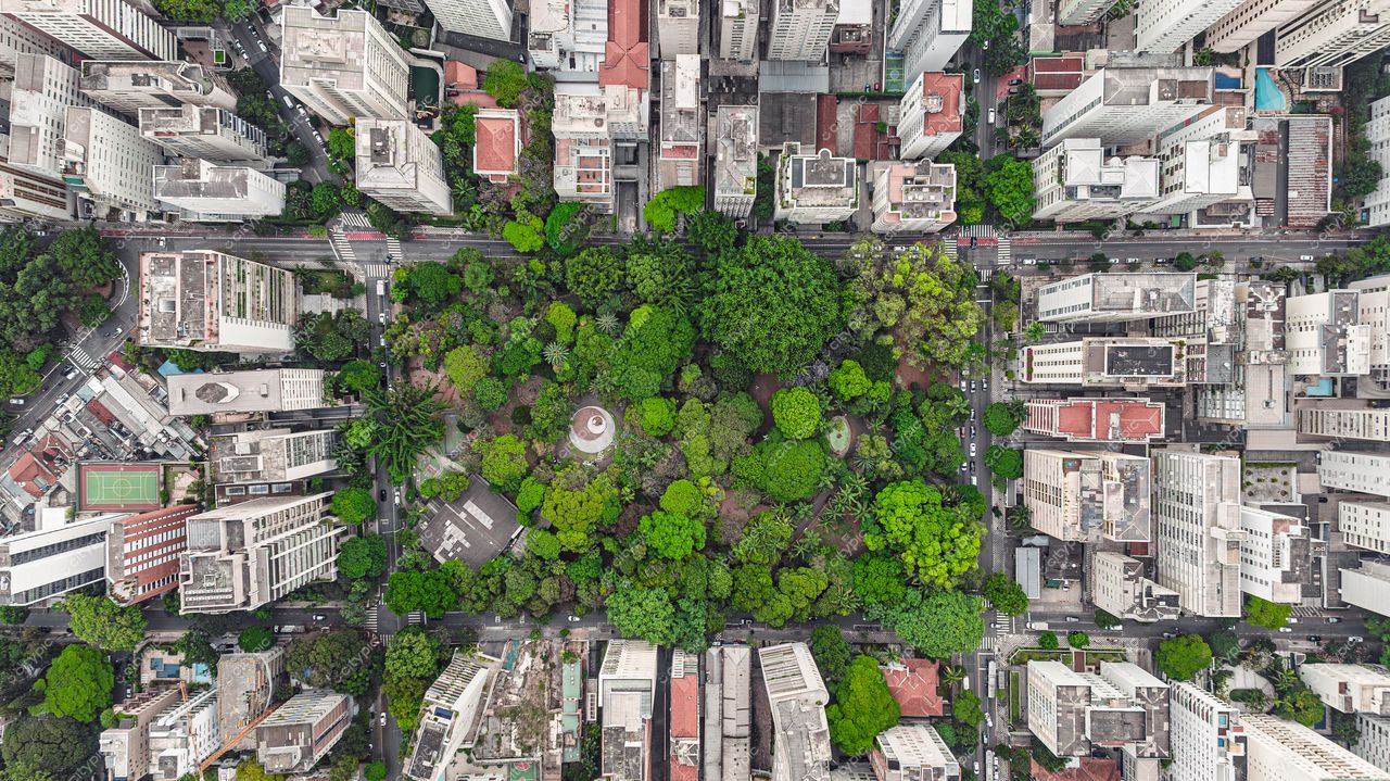 São Paulo, São Paulo, vista aérea do parque urbano cercado por edifícios e áreas verdes em dia ensolarado