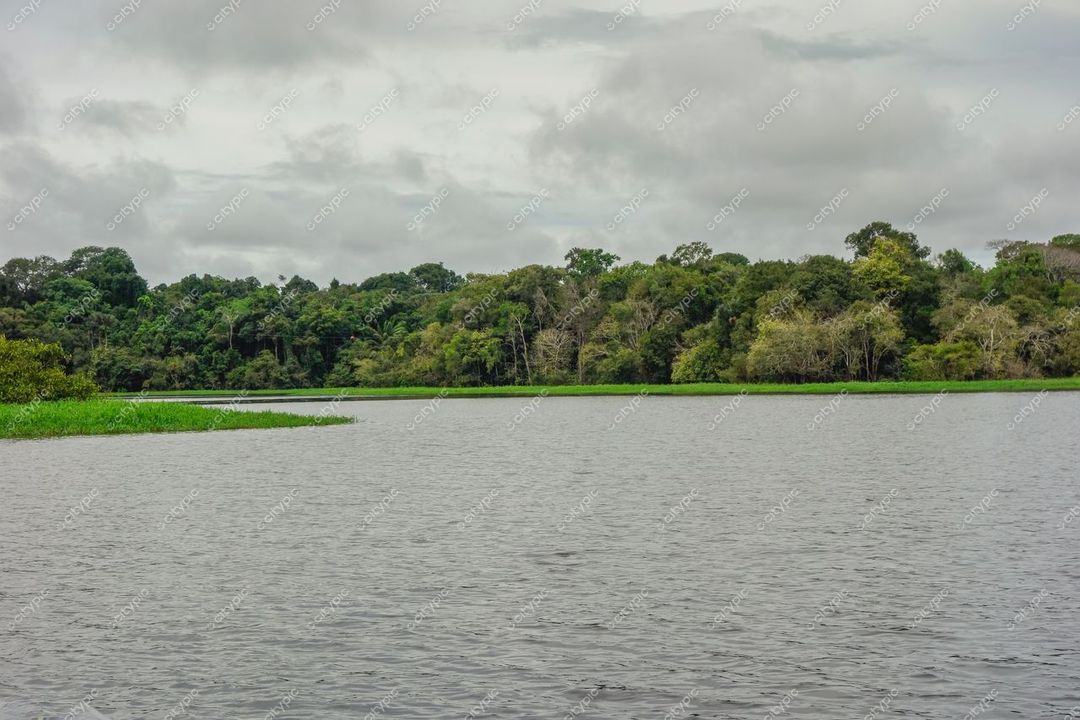 Manaus, Amazonas com vista ampla de corpo d’água e vegetação densa em dia nublado e tranquilo