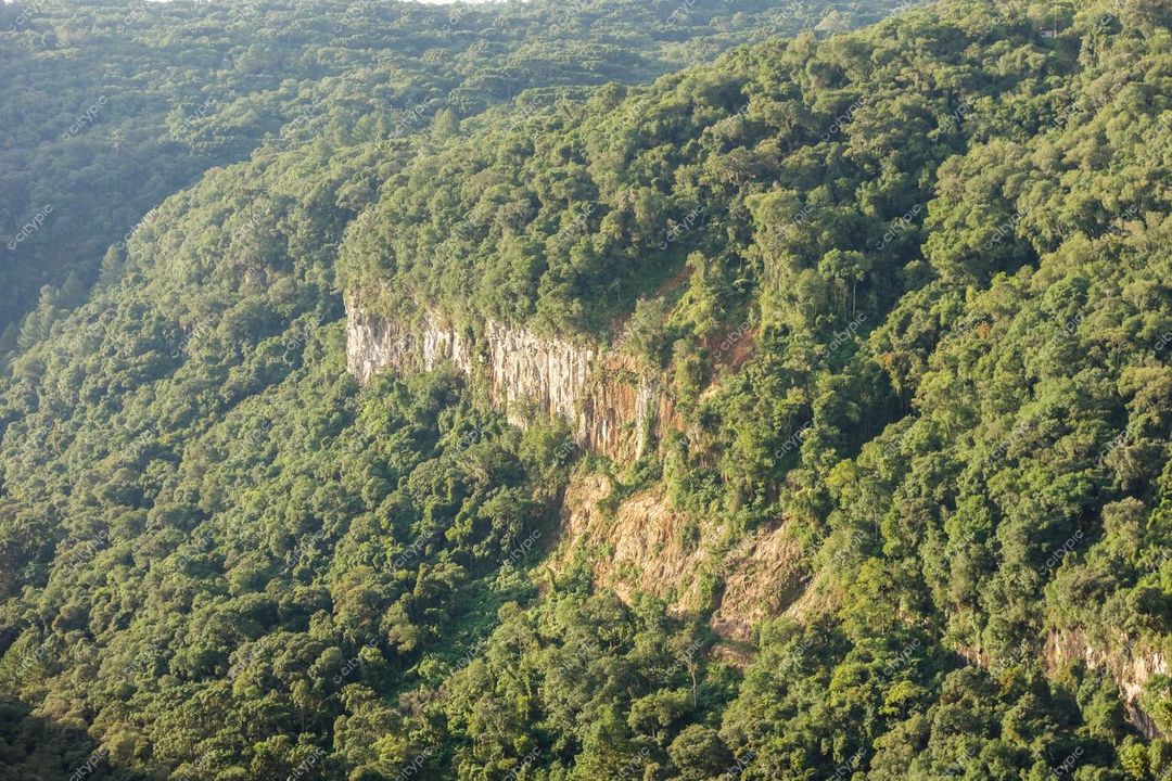 Canela, Rio Grande do Sul, paisagem verdejante com relevo montanhoso e iluminação suave ao amanhecer ou entardecer