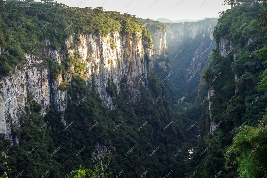 Cambará do Sul, Rio Grande do Sul, cânion com paredes rochosas e vegetação iluminada pela luz suave da manhã