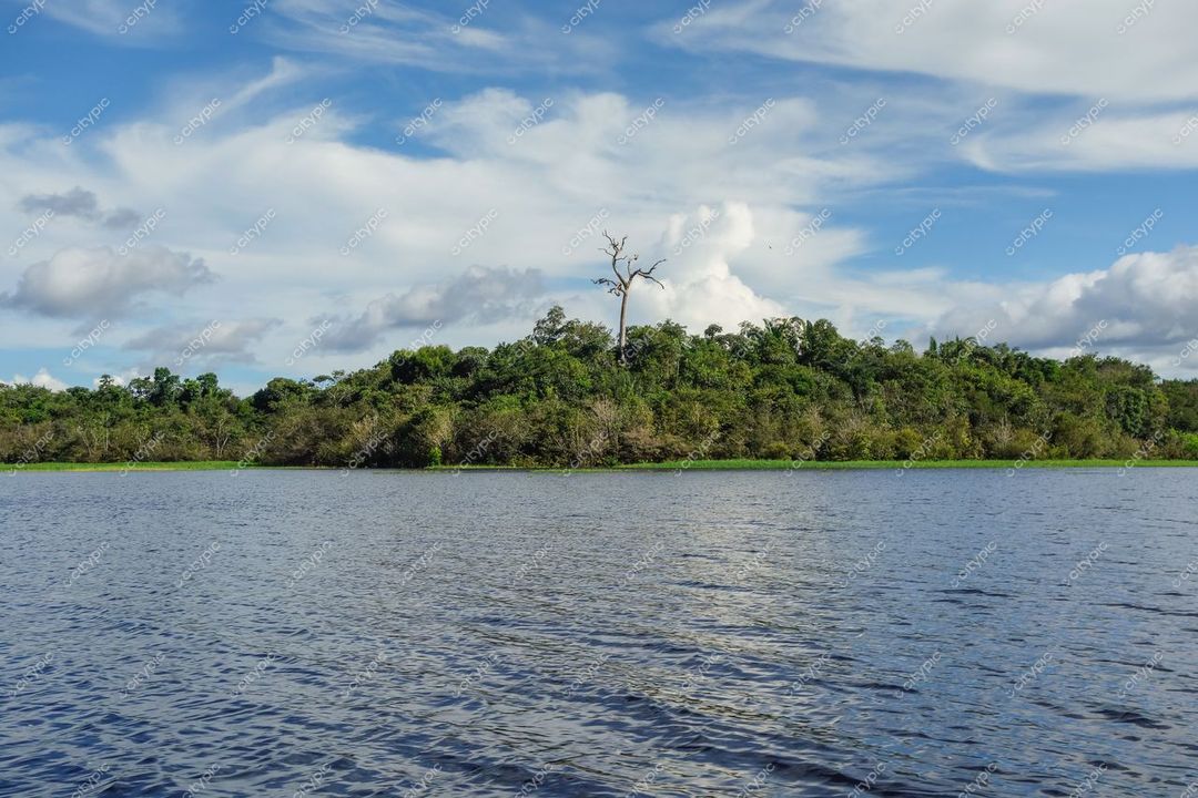 Manaus, Amazonas, paisagem natural com corpo de água refletindo céu nublado e elevação coberta por vegetação tropical