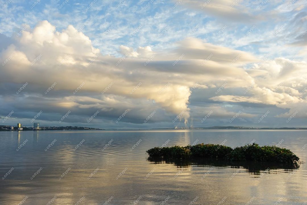 Porto Alegre, Rio Grande do Sul, amanhecer com reflexos na água e vegetação flutuante em primeiro plano
