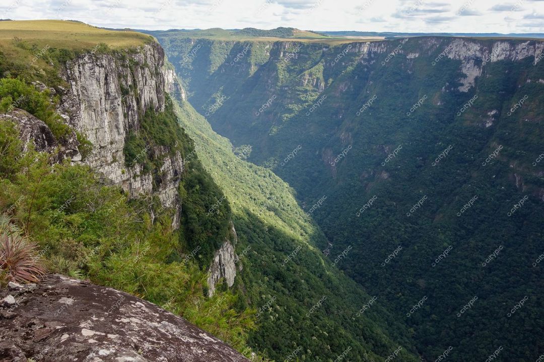 Cambará do Sul, Rio Grande do Sul, cânion com paredes íngremes e vegetação densa sob luz natural suave