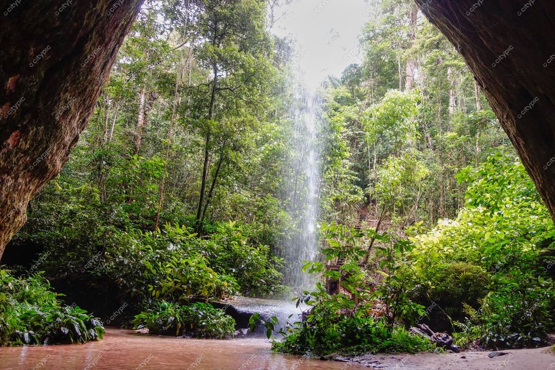 Presidente Figueiredo, Amazonas, vista da cachoeira com luz do sol filtrada e vegetação densa ao redor