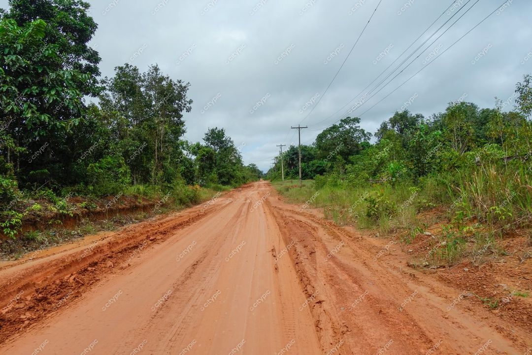 Manaus, Amazonas, estrada de terra batida cercada por vegetação densa e céu nublado em ambiente tropical tranquilo