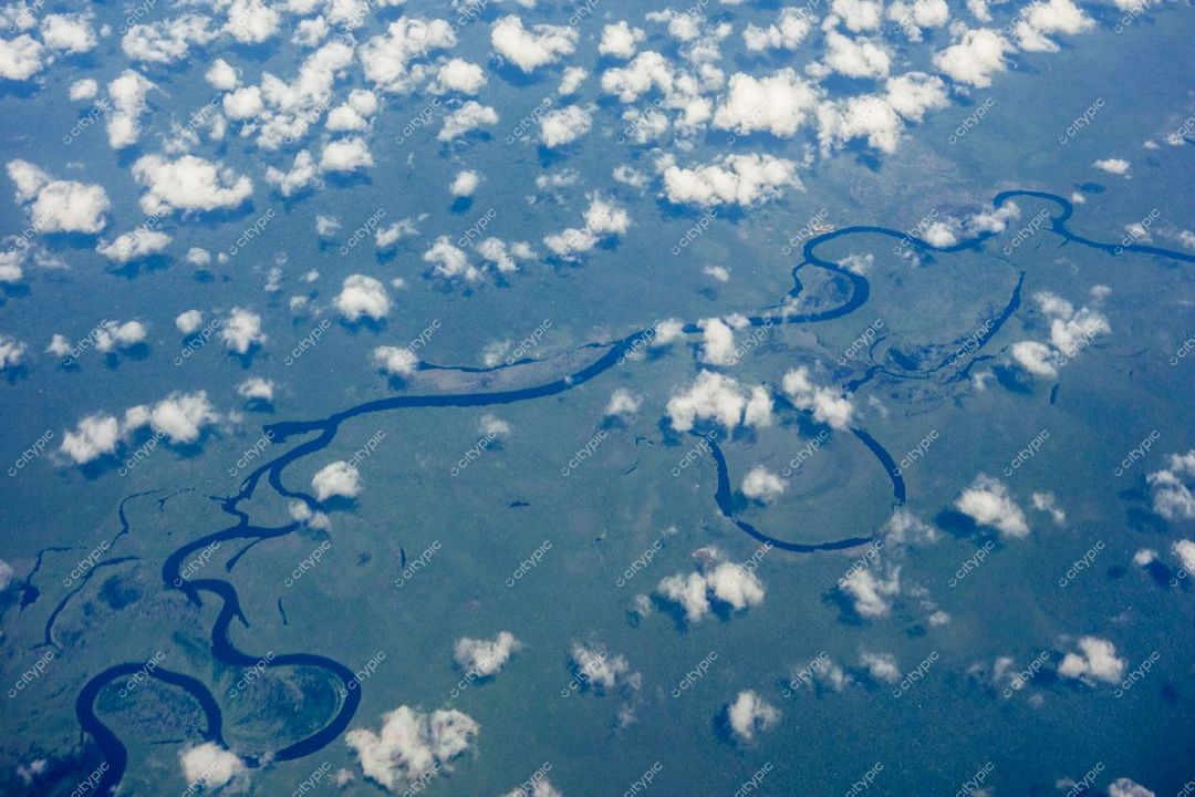 Manaus, Amazonas, vista aérea de rios serpenteantes em meio à vegetação densa sob luz natural diurna