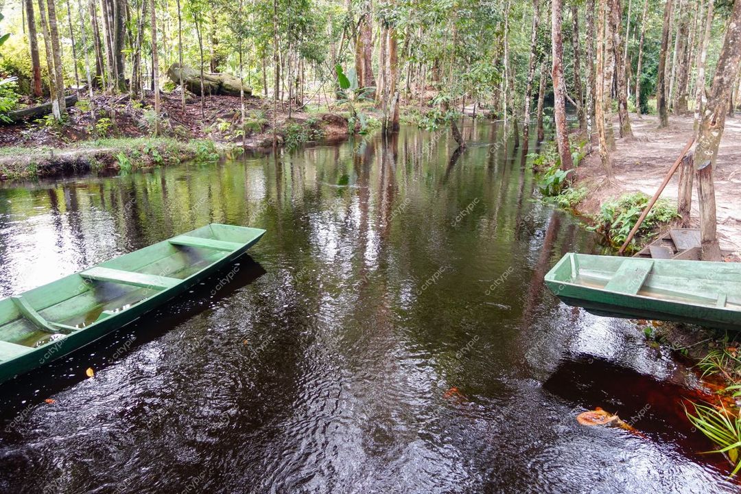 Presidente Figueiredo, Amazonas, barcos de madeira verdes ancorados em rio com vegetação densa e iluminação suave